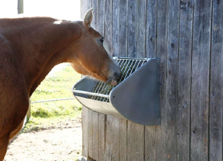KERBL Heuraufe mit Futterspargitter